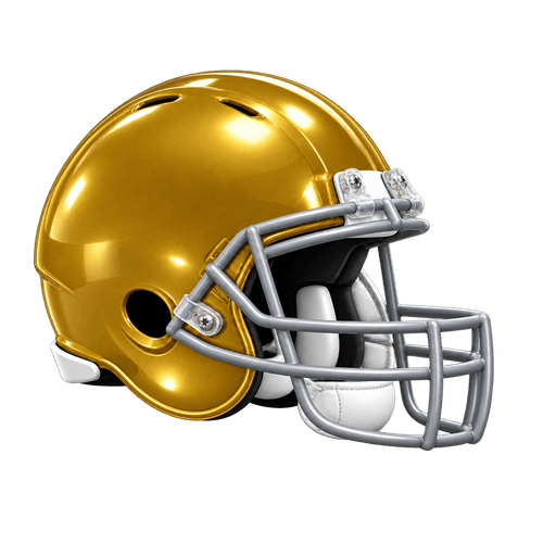 Notre Dame Fighting Irish helmet