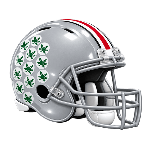 Ohio State Buckeyes helmet
