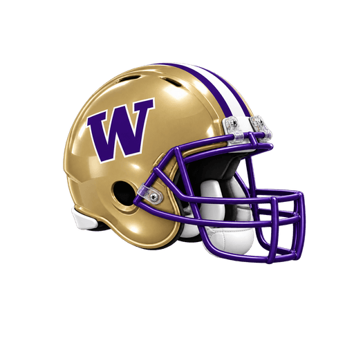 Washington Huskies helmet